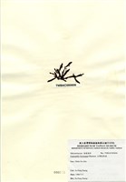 藏品(臺灣盾果藻)的圖片